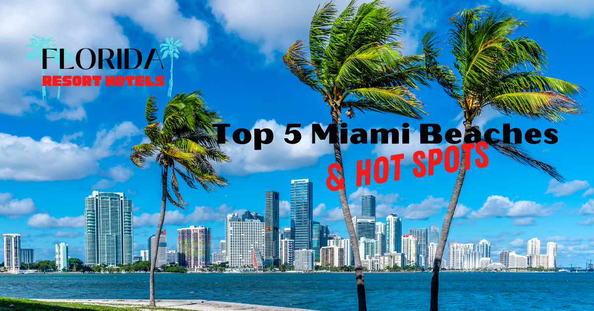 Top 5 Miami Beaches and Hot Spots Florida Resort Hotels