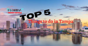 Top 5 things to do in Tampa bay