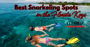 Best Snorkeling Spots in the Florida Keys