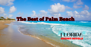The Best of Palm Beach