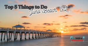 Top 5 Things to Do at Juno Beach