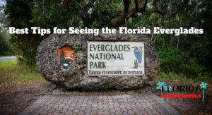 Best Tips for Seeing the Florida Everglades