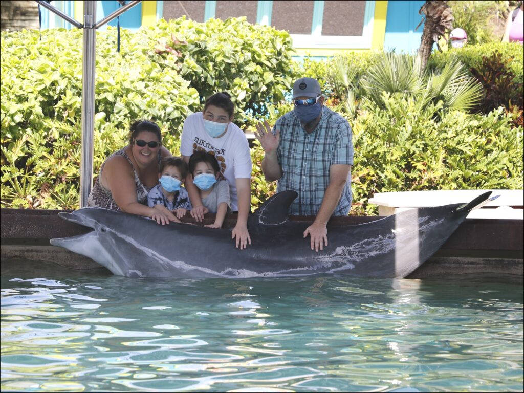 sea world orlando dolphin experience